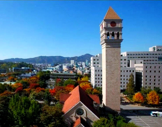 世宗大学